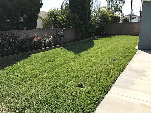 Back yard view looking to the West