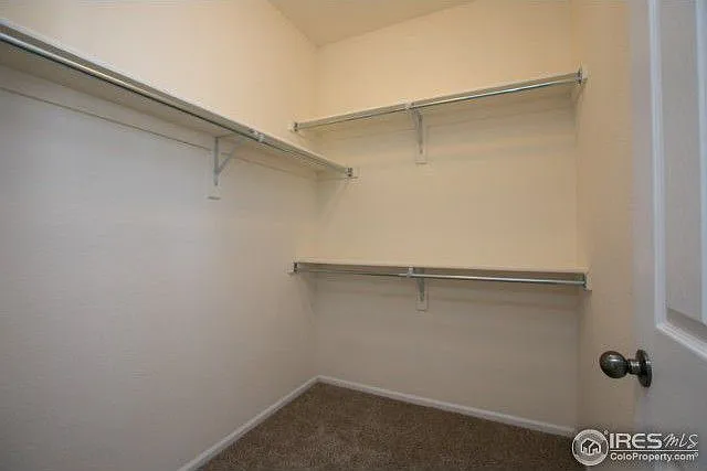 Master Bedroom Walk In Closet