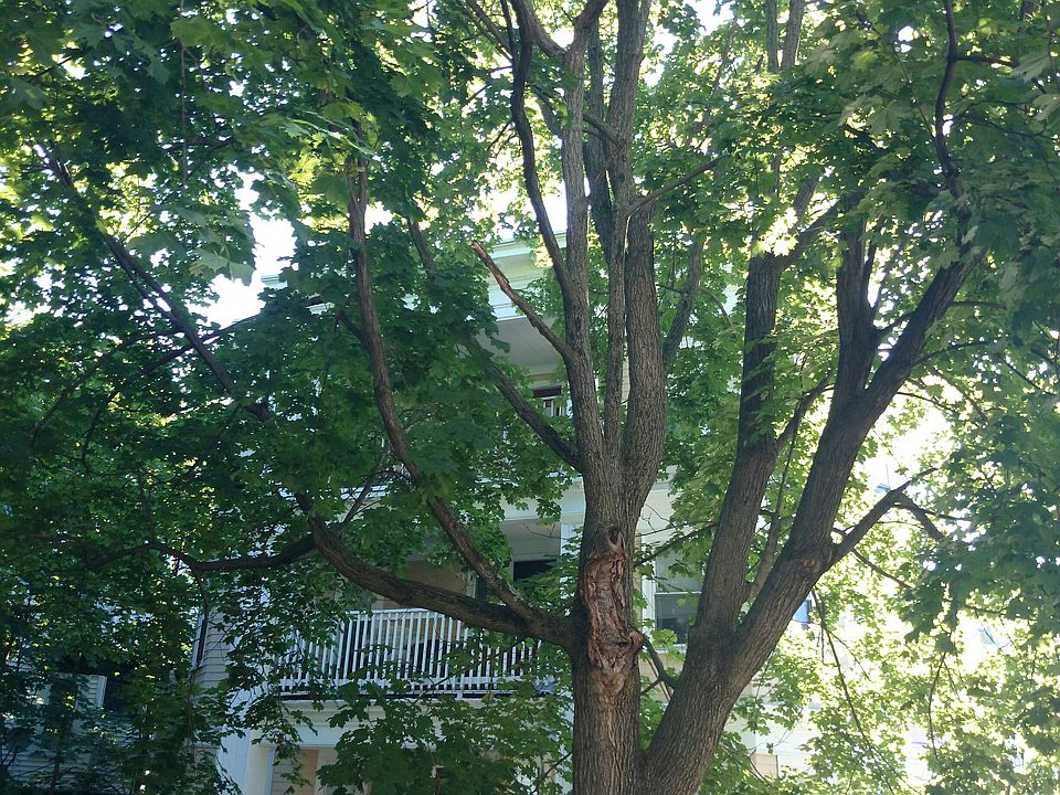 2nd image of 9085 Franklin Ave