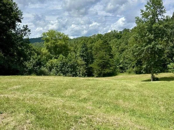 21481 Route 152 Rd, Genoa, WV 25517