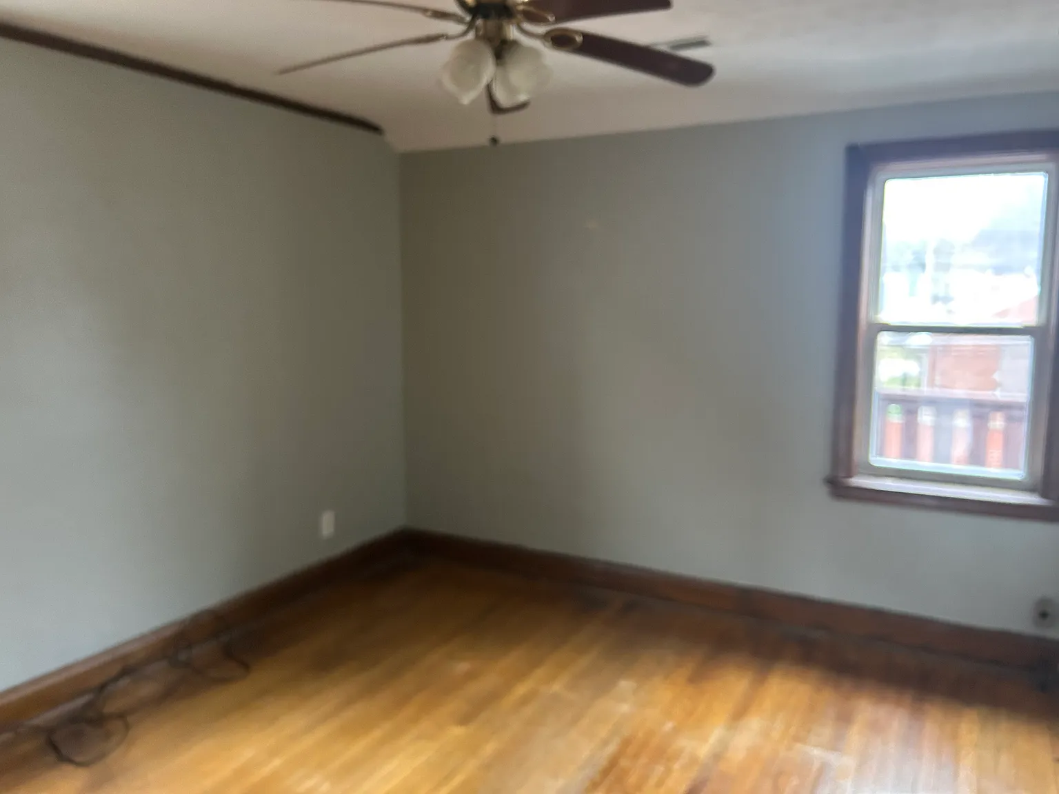 1 bed, 700 sqft, $800 — Photo 3