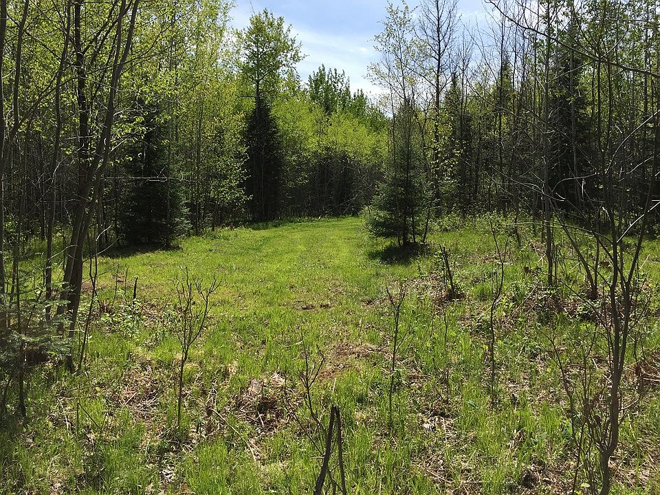 2nd image of Popple River Acres #9