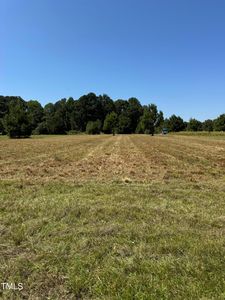 1 Basstown Rd LOT 2, Clinton, NC, 28328