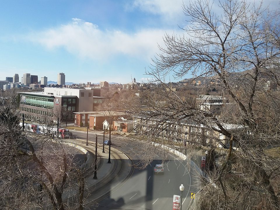 main view (winter season)
