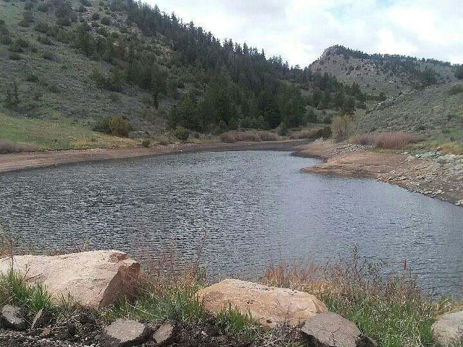 609 EIGER Rd, Livermore, CO 80536 MLS 961703 Zillow