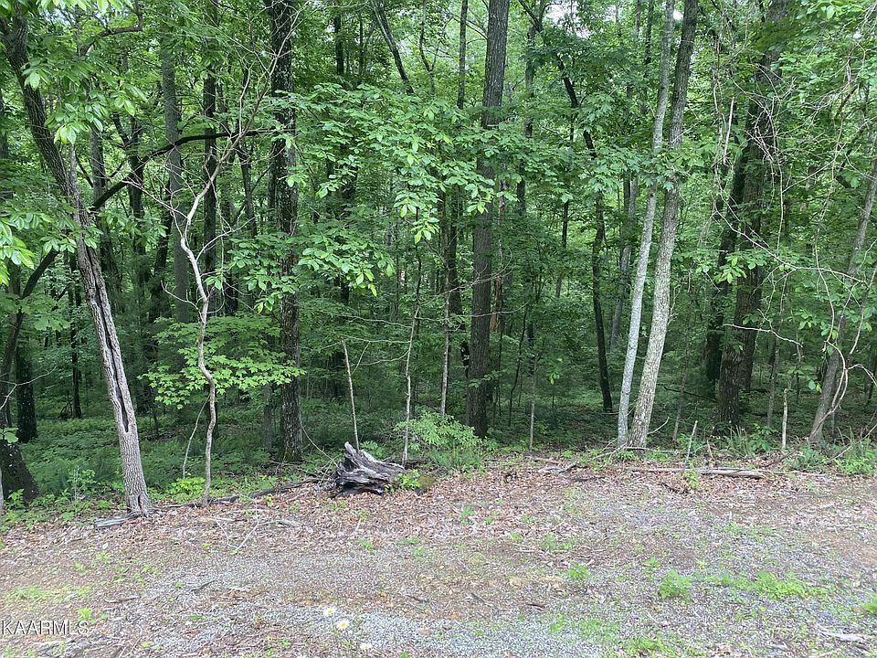 2nd image of 179 Pineridge Loop #46