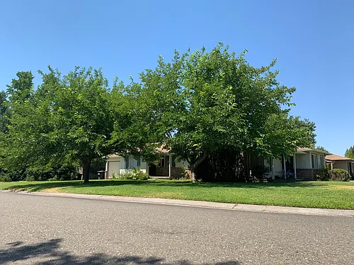 3931 El Ricon Way Photo 1