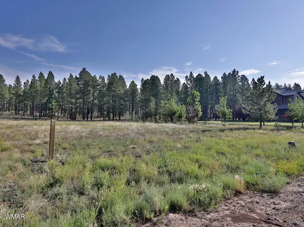 9592 Sierra Springs Dr, Pinetop, AZ 85935