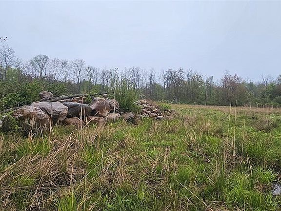 5th image of Rotterdam Rd
