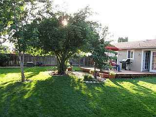fully renovated back yard