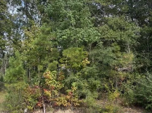 64400 Josephine St, Pearl River, LA 70452