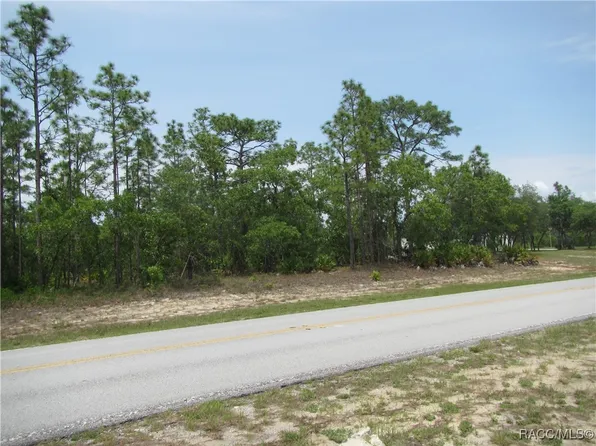 5007 W Mustang Blvd, Beverly Hills, FL 34465