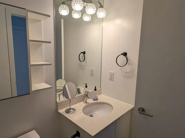 150 E Liberty St #1309 — Photo 19