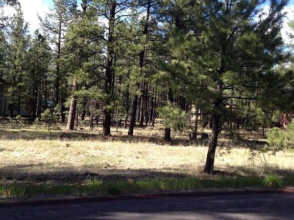 4th image of 7020 Tall Pine Dr