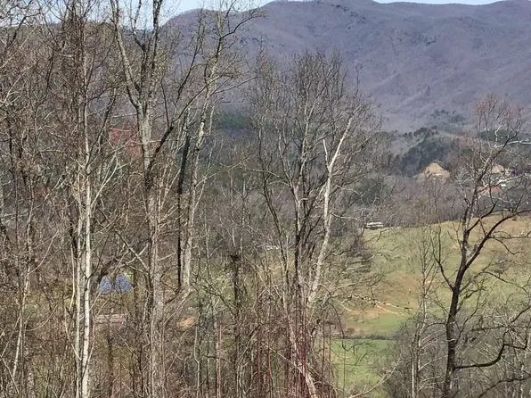 117 Shiloh Dr, Hayesville, NC 28904