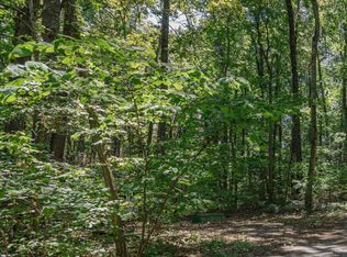 S Lee Hwy, Natural Bridge, VA 24578