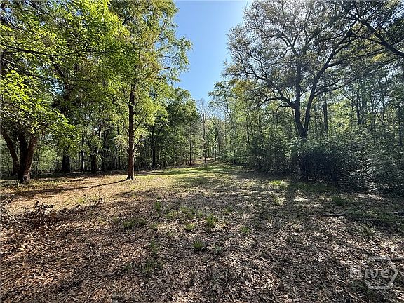5th image of 315 High Bluff Road