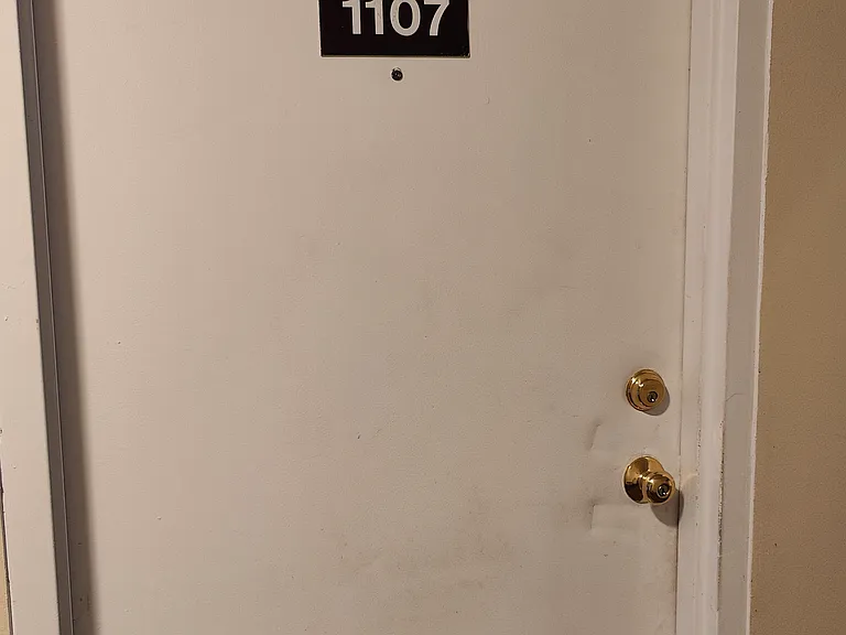1107 Green Hollow Dr — Photo 18