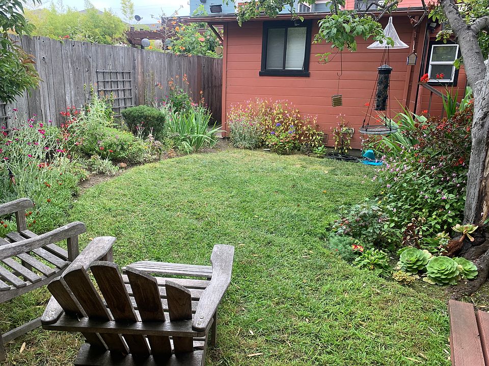 View of back yard and back of cottage.