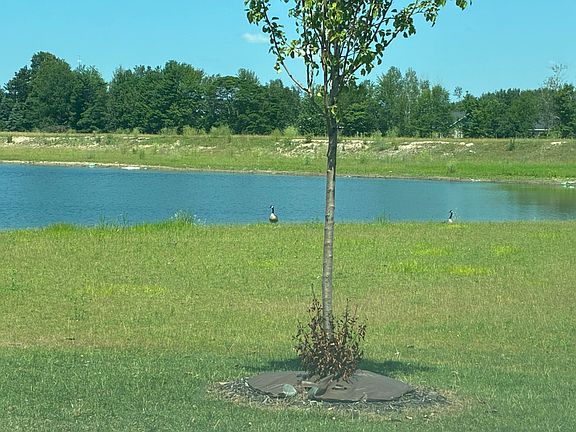 5th image of 1890 Lowe Dr