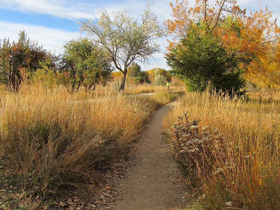 Trail across the creek across Gapter Road