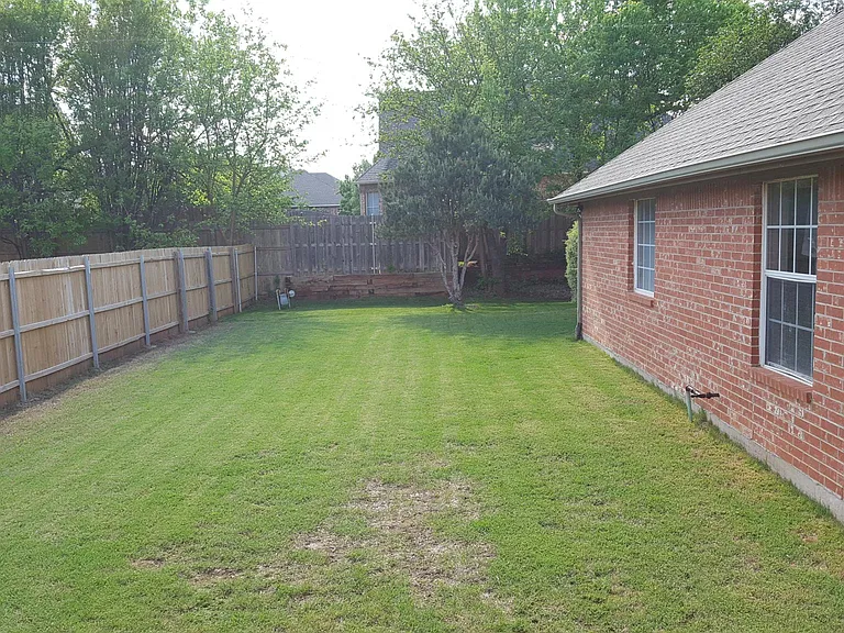 Back yard South