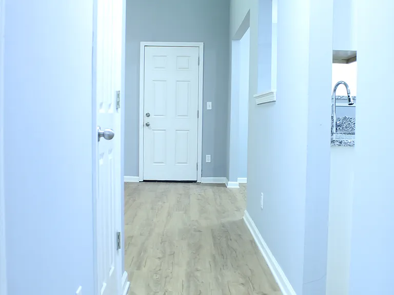 Main level facing back door.