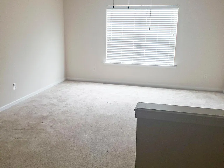 33 Brasstown Way — Photo 8
