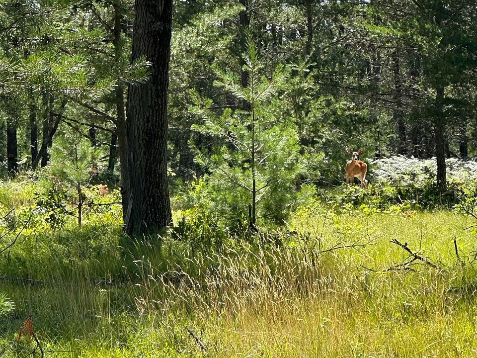 1st image of 2095 Vaughn Rd