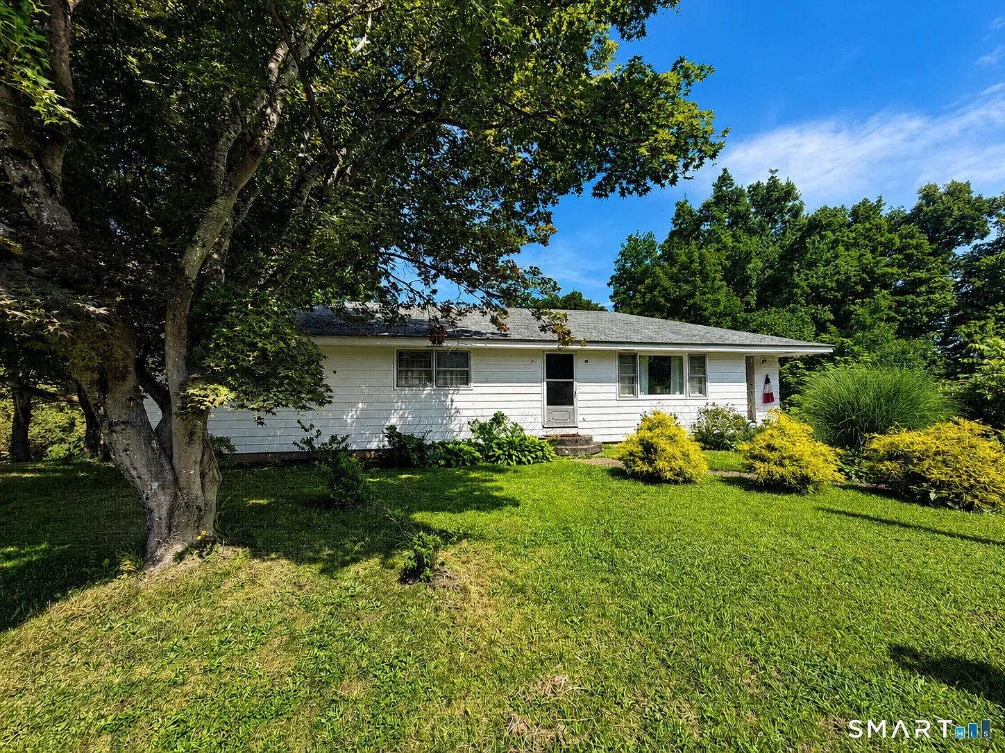 3 bed, 1.5 bath, 1581 sqft, $2,850 — Photo 3