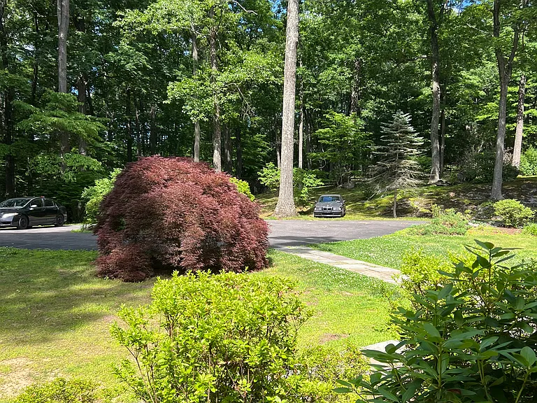 View from the front door out to circle driveway