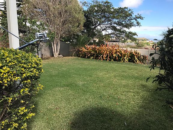 Fenced in backyard