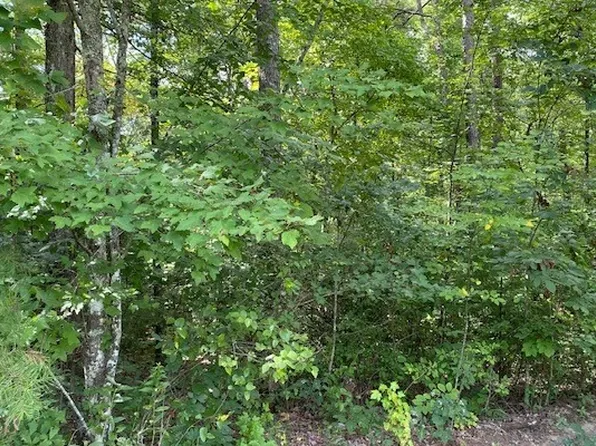 19 Whipporwill Walk Rd, Mineral Bluff, GA 30559