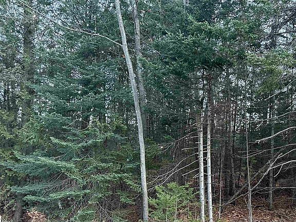 5th image of Kingswood Ln
