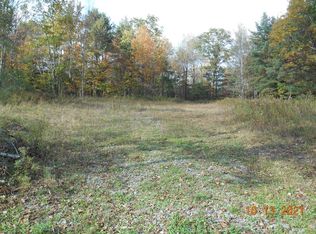 0 Haskins Rd, Erin, NY 14838