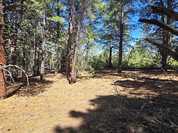 5th image of Table Bench Rd