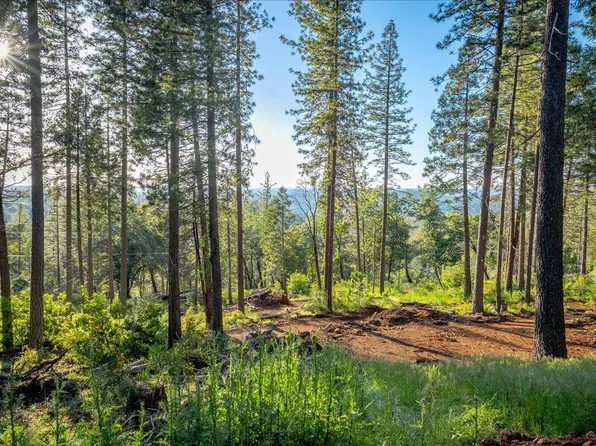 6880 Wentworth Springs Rd, Georgetown, CA 95634