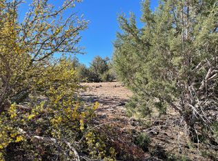 32317 W Espada Rd, Seligman, AZ 86337