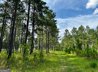 0 Old Prison Camp Rd, Mc Rae Helena, GA 31055