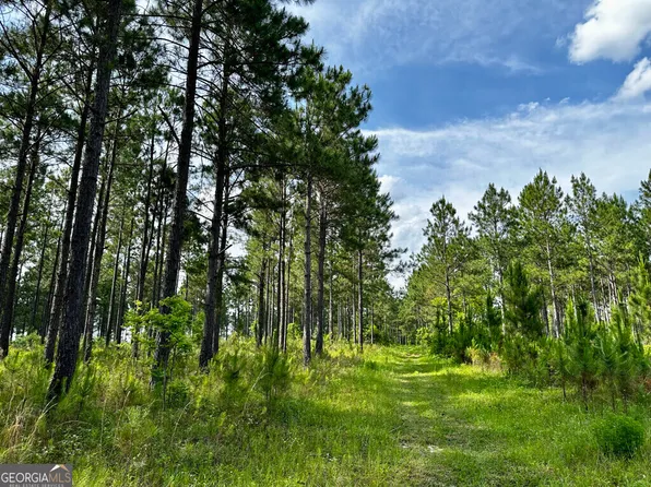 0 Old Prison Camp Rd, Mc Rae Helena, GA 31055