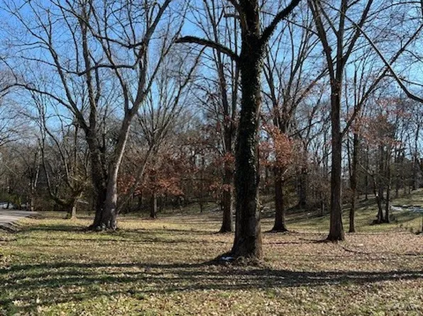 0 Cayce Valley Dr Lot 20, Columbia, TN 38401