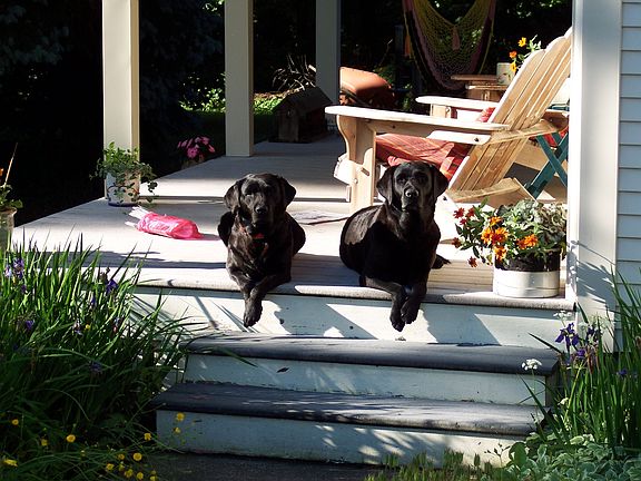 Quiet country living