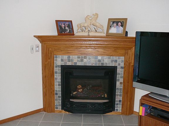 Gas Fireplace in the lower familyroom