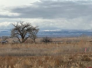 LOT 1 Peach Valley Rd, Montrose, CO 81401