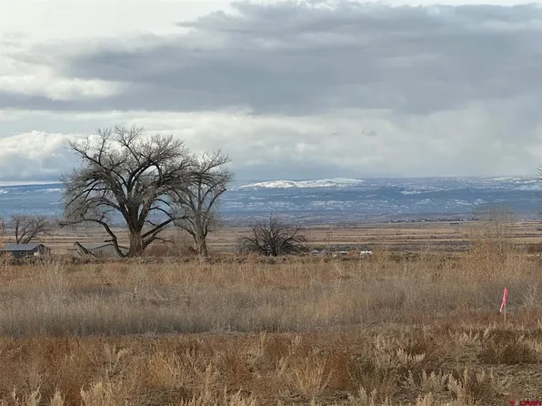 Lot 1 Peach Valley Road, Montrose, CO 81403