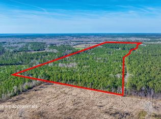 0 Lowcountry Hwy, Ruffin, SC 29475