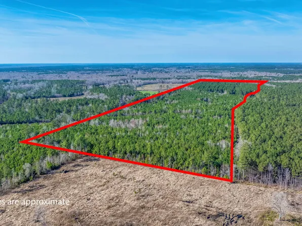 0 Lowcountry Hwy, Ruffin, SC 29475