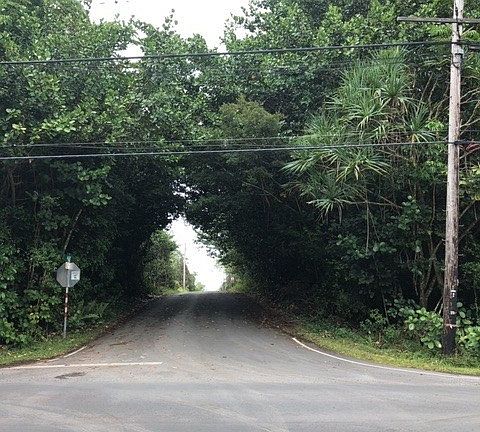 3rd image of Kaloli Dr Lot 2754