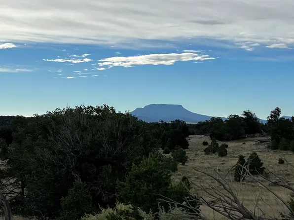 Horseshoe Cir, Quemado, NM 87829