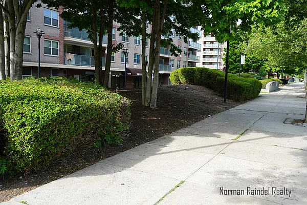 Rented by Norman Raindel, LREB | media 38